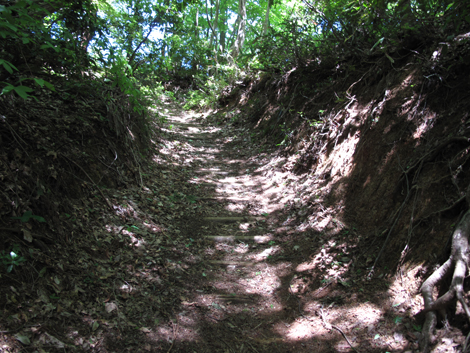 20140517hike (84)